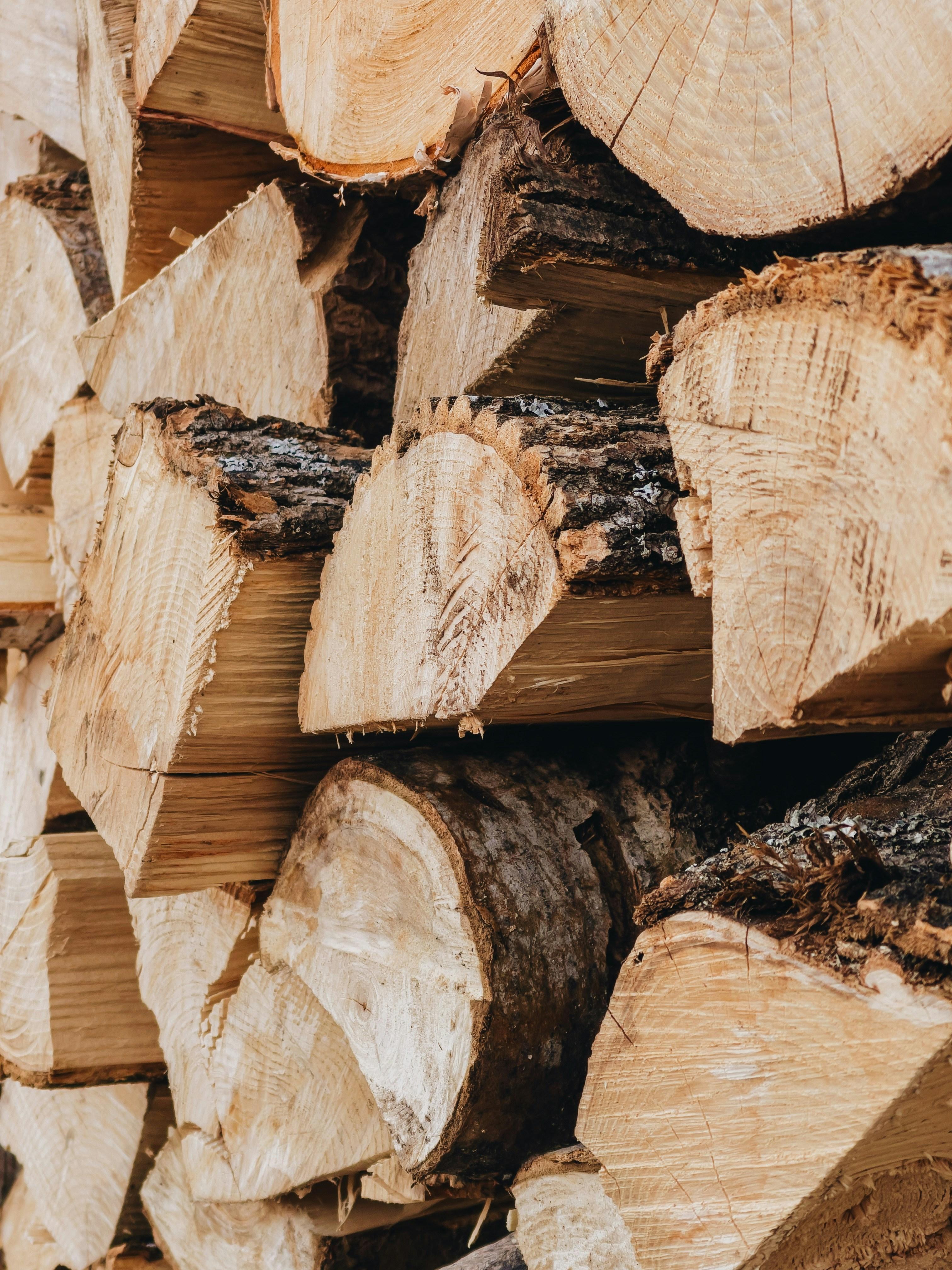 Bois de chauffage pas cher : Où et quand acheter pour faire de vraies économies ?
